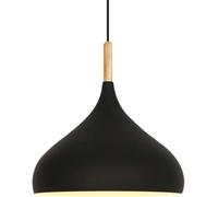 Nordic Minimalist Pendant Lighting Fixture Single Head Hanging Light Personalized Bar Chandeliers for Restaurants, Shopping Malls, Homes, Dining Rooms(Black,24 * 30cm)