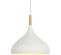 Nordic Minimalist Pendant Lighting Fixture Single Head Hanging Light Personalized Bar Chandeliers for Restaurants, Shopping Malls, Homes, Dining Rooms(White,24 * 30cm)