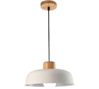 Nordic Modern Style Creative Simple Iron Pendant Lamp, Ceiling Single Head Hanging Light, Club Decoration Lighting Fixture