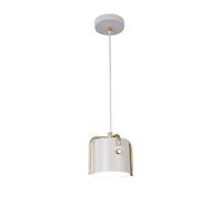 Nordic Style Iron Single Head Small Hanging Lamp, Ceiling Light, Metal Lamp Shade, Restaurant Cafe Decoration Pendant Light, Adjustable Height