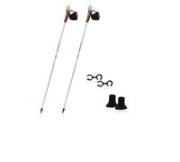 Nordic walking poles Guidetti VDF UT100 Arctic (Gray/White/Red)