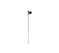 Nordic walking poles Guidetti VDF UT50 Toundra