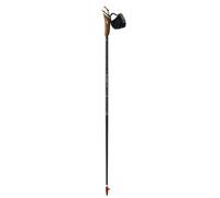 Nordic walking poles Guidetti VDF UT70 Polar