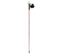 Nordic walking stick Guidetti Vent des Fjords UT70 Steppe 105 cm