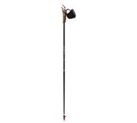 Nordic Walking Poles Guidetti Vent des Fjords UT70 Noir 120 cm