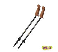 Nordic walking stick Fizan Walx Xplorer Noir TU