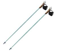 Nordic walking stick Guidetti VDF UT50 Vert 130 cm