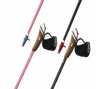 Nordic walking stick Guidetti VDF UT70 Steppe 135 cm