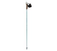Nordic walking stick Guidetti Vent des Fjords UT50 Toundra 115 cm