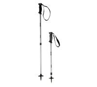 Nordic walking stick Regatta Anti-Shock ll Argenté TU