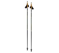 Nordic walking stick Swix CT4 PCU Just Click Liege Synthe Noir 115 cm