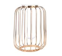 Nordic Wrought Iron Vase Lantern-Shaped Flower Vase Glass Tube Gold Metal Wire Candle Holder for Home Wedding Decoration(Champagne Gold)