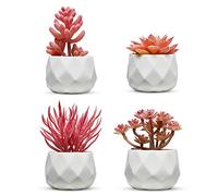 Nordik Faux Succulents - White Ceramic Desk Plants for Office (Set of 4)