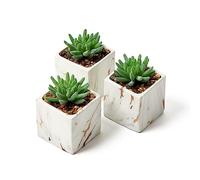 Nordik Miniature Artificial Succulent Set of Four Geometric Round Black Pots - Perfect for Bathroom, Bedroom Decor Aesthetic - Ceramic Fake Plant for Office or Living Room Decor - Ideal for Women