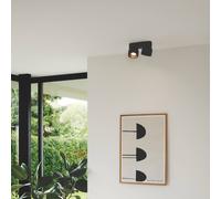 Nordlux Downlight Pitcher, black/brass, 2-bulb, metal, GU10