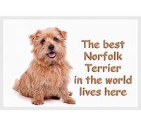 Norfolk/Norwich Terrier Fridge Magnet Gift
