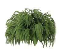 Norfolk Pine Branches Realistic,12X Realistic Artificial Christmas Branch | Real Touch Winter Pine Branch, Pine Christmas Branch Decorations for Home, Christmas