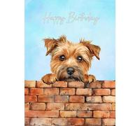 Norfolk Terrier Dog Art Birthday Card