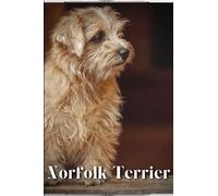 Norfolk Terrier: Dog breed overview and guide