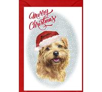 Norfolk Terrier Dog Christmas Card (6" x 4") with matching Envelope by Starprint