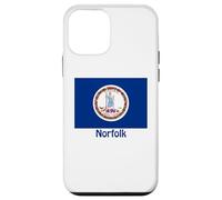 Norfolk Virginia USA Flag Souvenir Case for iPhone 12 mini