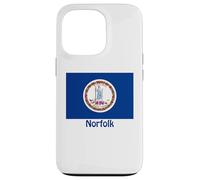 Norfolk Virginia USA Flag Souvenir Case for iPhone 13 Pro