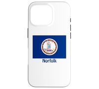 Norfolk Virginia USA Flag Souvenir Case for iPhone 16 Pro
