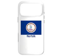 Norfolk Virginia USA Flag Souvenir Case for iPhone 17 Pro Max