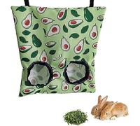 Norhogo Guinea Pig Hay Food Bag, Hanging Food Bag Rabbit House Dispenser for Rabbits Hamster Chinchilla for Chinchilla Dutch Pig Mole (Small-2 Holes)