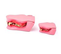 Normal And Pathological Anatomical Models Of Dog And Cat Teeth Oral Dental Caries Of Dogs And Cats Cat Anatomy Dog Anatomy Teeth Model