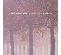 Normal For Bridgwater by Bruntnell, Peter, Peter Bruntnell (2000) Audio CD