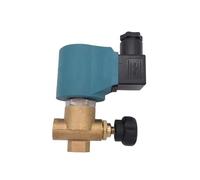 Normally Close Brass high Temperature steam Solenoid Valve FKM G1/4" 110V 220VAC Adjustable(DC24V)