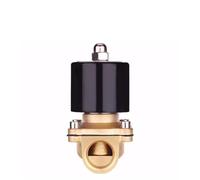 Normally Closed Brass Electric Solenoid Valve DN8 DN10 DN15 DN20 DN25 N/C Pneumatic Valve for Water Oil Air 12V/24V/220V/110V(220 V-China,DN08)