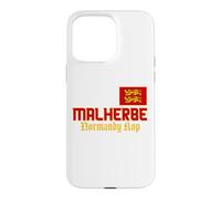 Normandy Flag, Yellow Lions, Malherbe, Men Women Normandy Case for iPhone 15 Pro Max