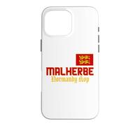 Normandy Flag, Yellow Lions, Malherbe, Men Women Normandy Case for iPhone 16 Pro Max