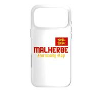 Normandy Flag, Yellow Lions, Malherbe, Men Women Normandy Case for iPhone 17 Pro Max