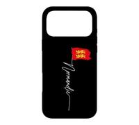 Normandy Flag, Yellow Lions, Men Women Normandy, France Case for iPhone 17 Pro Max
