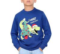 NOROZE Boys Girls Unisex Children Kids Merry Christmas Dinosaur Tree Hat Reindeer Snowflake Pom Polar Bear Dino Roar Mas Knitted Novelty Ugly Xmas Jumpers Sweater (13 Years, Dino Roar Navy)