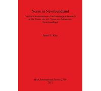 Norse in Newfoundland: A Critical Examination of Archaeological Research at the Norse site at L'Anse aux Meadows Newfoundland: A critical examination ... Archaeological Reports International Series)