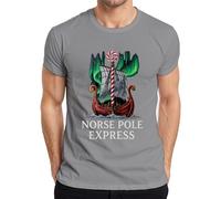 Norse Pole Express Viking Northern Lights Funny Men's T-Shirt, gray, M