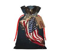 North American Bald Eagle Print Festive Red Drawstring Bag, Small Favors Pouch Ideal For Christmas Party Gifting-S Size