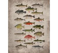 North American Fishing 2026 Teacher Planner Weekly and Monthly: Minimalist Lesson Record, Calendar Organizers, goal, to do list