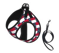 North Carolina State Flag Print Small Dog Harness And Leash Set, Adjustable Soft Vest With 360° Reflective Straps For Cats Puppy
