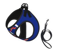 North Dakota State Flag Print Adjustable Harness Leash Set For Cats And Dogs, Soft Breathable Kitten Puppy Mesh Vest With Reflective Design, Escape-Proof Lead For Small Pets Walking Training