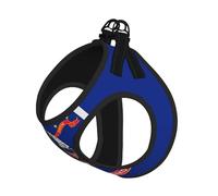 North Dakota State Flag Print Harness Leash Set For Cat And Small Dog, Adjustable, Reflective, And Escape-Proof Vest With Soft Breathable Mesh Lining