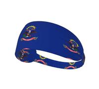 North Dakota State Flag Stretchy Non-Slip Sweat Wicking Hair Bands for Women & Men, Workout Headwrap for Gym, Running, Yoga, Tennis