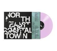 North East Coastal Town