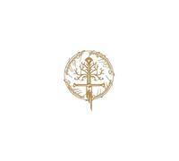 NORTH KAISER Lord of the Rings Metal Wall Art | Sworn Decor for Fantasy Lovers | Unique Gift for Him | Rustic Home Decoration | Housewarming & Birthday Present for Movie Fans (Gold, 80 x 65 cm)