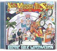 North Mississippi Allstars - Electric Blue Watermelon