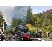 North York Moor Small Group Tours to Whitby including Steam Train